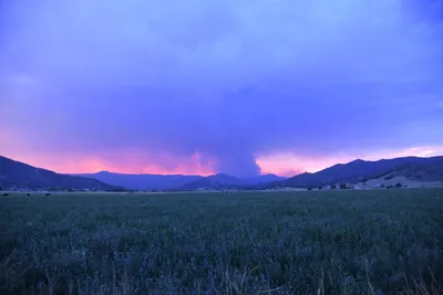 DSC_1847 (Large).JPG